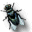 fly
