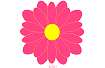 Pink/Yellow Flower Splash & Clickable Page Layout